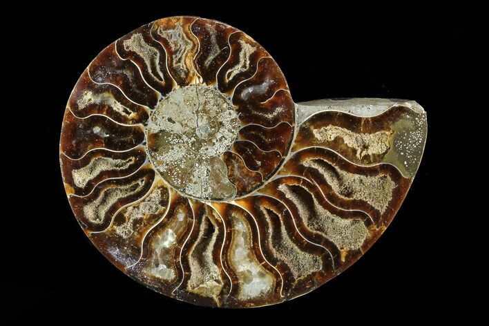Agatized Ammonite Fossil (Half) - Madagascar #83854